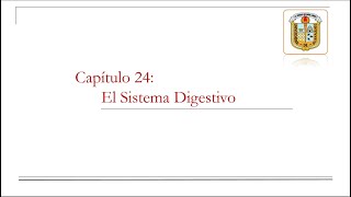 Anatomía y Fisiología II  El Sistema Digestivo [upl. by Acinnad]