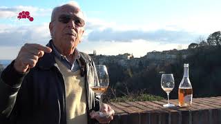 Grape INSIDERS origins of Morellino di Scansano with Erik Banti [upl. by Stretch]