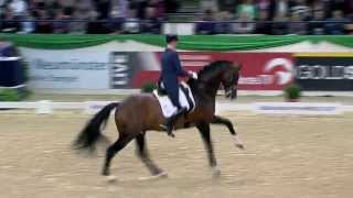 Hans Peter Minderhoud en Johnson  FEI World Cup Dressage Neumünster [upl. by Einamrej]