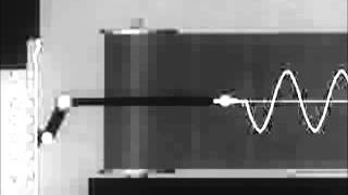 Oscillograph Displaying Sine Wave [upl. by Young987]