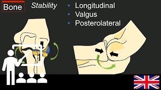 Trailer Lectures Understanding elbow instability [upl. by Nomar]