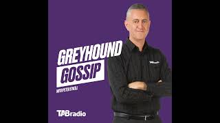 GREYHOUND GOSSIP  WA won the National Sprint [upl. by Naamana]