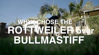 WHY I CHOSE THE ROTTWEILER OVER THE BULLMASTIFF [upl. by Refotsirc]