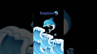 Dolphint🐬 [upl. by Leahcimsemaj]