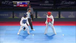 2013 WTF World Taekwondo Championships Final  Female 46kg [upl. by Swenson]