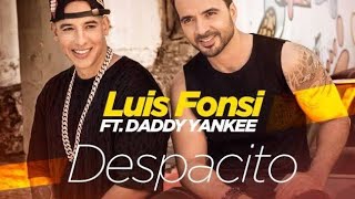 Despacito Lyrics Explained [upl. by Radborne168]