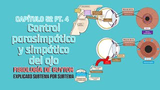 CAP 52 44 Control parasimpático y simpático del ojo l Fisiología de Guyton [upl. by Brottman165]