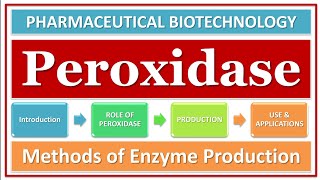 PEROXIDASE ENZYME  ROLE amp FUNCTION  PRODUCTION  ISOLATION  MICROBIAL ENZYME  APPLICATION [upl. by Eidnil]