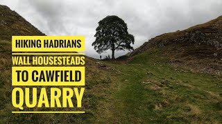 A HIKE FROM HOUSESTEADS TO CAWFIELD QUARRY ALONG THE HADRIAN WALLsycamore gap views adventure [upl. by Aneej]