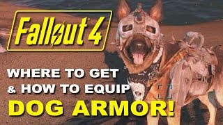 FALLOUT 4 Dogmeats Dog Armor  Where to Find it amp How to Equip It Rare Armor Location Guide [upl. by Lahcear]