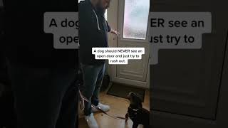 DOG TRAINING TIPS 🚨dog ddk9 dogtraining reels dogsofinstagram viralvideo viral 9 [upl. by Audun]