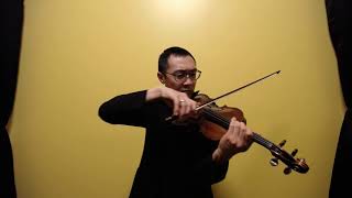 Violin by Gennaro Gagliano Naples Italy 1770 HD Audio [upl. by Alyose]