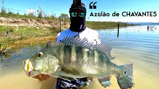 TUCUNARÉ AZUL GIGANTE DA REPRESA DE CHAVANTES [upl. by Ecnarf]