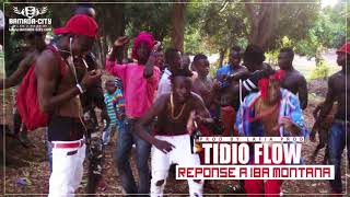 TIDIO FLOW  REPONSE A IBA MONTANA [upl. by Tranquada533]