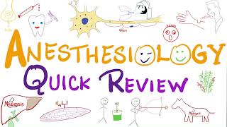 All Anesthesiology in 13 minutes  Anesthesiology  Quick Review [upl. by Othe123]