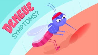 What are symptoms of Dengue fever How is Dengue treated How to avoid it [upl. by Eneliak]