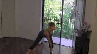 Cardio Core Flow  Full 25 Minute Cardio Core and Standing Abs Home Workout [upl. by Eram]