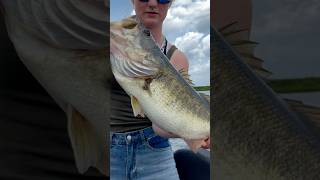 Catching a Lake Okeechobee HOG [upl. by Norrie]