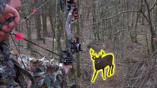 BIG 7 Point Bowhunting the Alabama Rut [upl. by Yleme]