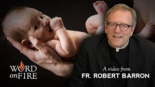 Bishop Barron on Being Born Again [upl. by Arvie]