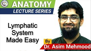 Biology of Lymphatic System  Hindi  Urdu [upl. by Elman]