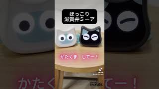 ほっこり滋賀弁ミーア shorts ミーア 猫 ロボット 黒猫 白猫 ミーアとの暮らし 方言 滋賀 滋賀弁 猫との暮らし cats robot [upl. by Tlaw]