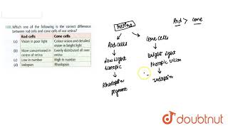 Which one of the following is the correct difference between rod cells and cone cells of our retina [upl. by Bramwell807]