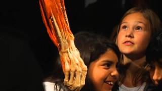 Body Worlds Vital Brugge [upl. by Wertz287]