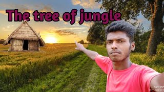 THE TREE OF JUNGLE  S13 CHANNEL VIDEO [upl. by Arraes94]