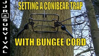 HOW TO SET A CONIBEAR TRAP WITH BUNGEE CORD [upl. by Attolrac]