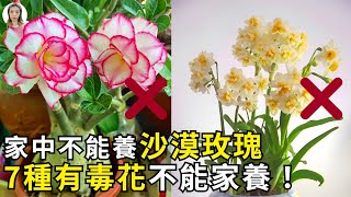 家里不能养沙漠玫瑰！这7种有毒植物都不适合家养，赶紧看你家里有没有  花花世界 [upl. by Socin]