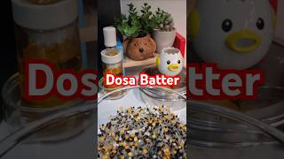 Perfect Dosa Batter Recipe Fluffy Crispy amp Delicious Every Time DosaBatter HomemadeDosa Cook [upl. by Anahsirk]