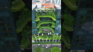 park hotel royal Singapore [upl. by Rendrag367]