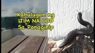 KAHULUGAN NG ITIM NA UOD SA PANAGINIP [upl. by Enyad174]