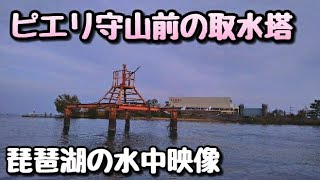 琵琶湖 水中映像 ピエリ前 の 取水塔 水中映像 [upl. by Zinnes]