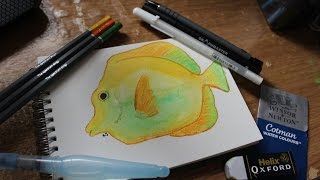 Sea Creature Series 4  Yellow Tang Fish [upl. by Nylime]