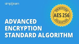 AES  Advanced Encryption Standard Algorithm In Cryptography  AES Explained  Simplilearn [upl. by Aisatnaf]