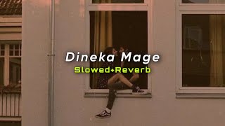 Dineka Mage SlowedReverb  Shihan Mihiranga  SlowMoLK [upl. by Wohlen]