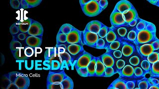 Top Tip Tuesday  Micro Cells [upl. by Oap]