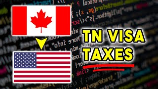 I Spent Over 6000 In Taxes So You Dont Have To  TN Visa Taxes [upl. by Carnay]