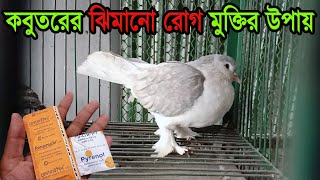 কবুতরের ঝিমানো রোগ মুক্তির উপায় ও চিকিৎসার ঔষুধের নাম  Kobutor Jimano Rog  RenaMycin Tablet [upl. by Ahsinyar]