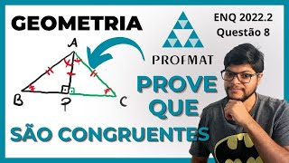 Prove que os triângulos são congruentes  PROFMAT Geometria [upl. by Koorb]