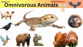 Omnivore Animals name for Kids सर्वहारा जानवरों के नामkidsKBCpro omnivores animals learning [upl. by Nedgo]