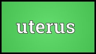 Uterus Meaning [upl. by Franciska61]