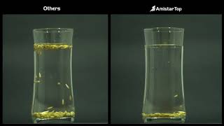 Amistar Top Rice TEST [upl. by Adalheid]