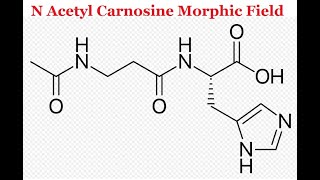 N Acetyl Carnosine Morphic Field [upl. by Guido985]