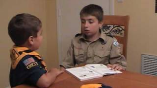 The Meaning of Webelos [upl. by Quinby896]