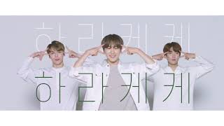 더샘X세븐틴 the SAEM Harakeke Dance [upl. by Possing]