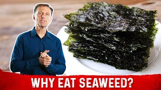 What is Seaweed – DrBerg Explains Roasted Seaweed Benefits [upl. by Marquet]