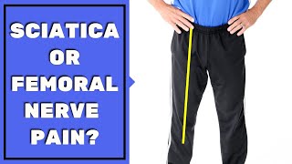 Is Leg Pain Sciatica or Femoral Nerve Pain Must See to Assess amp Stop Pain [upl. by Eremehc]